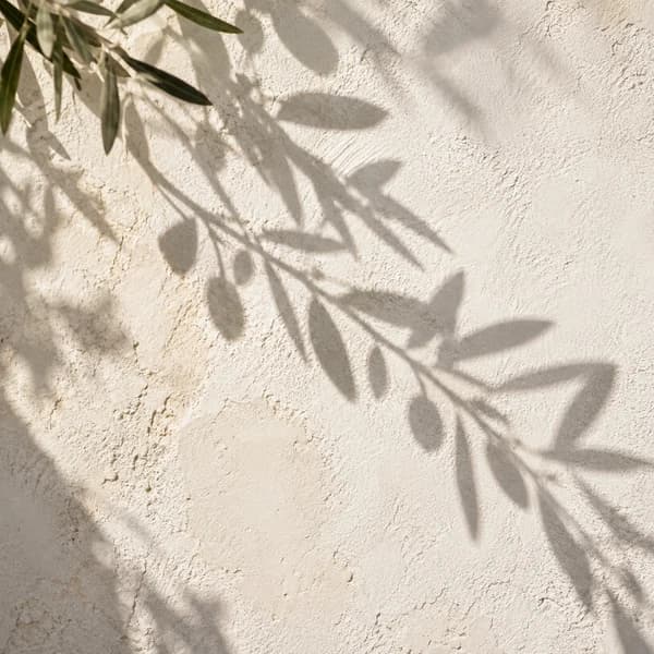 Detalle de sombras de hojas sobre una pared de textura clara